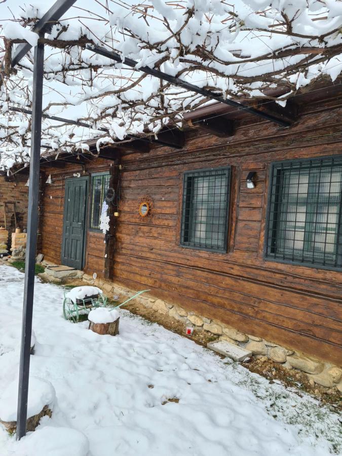 Вілла Casa Hariton Dragus Екстер'єр фото