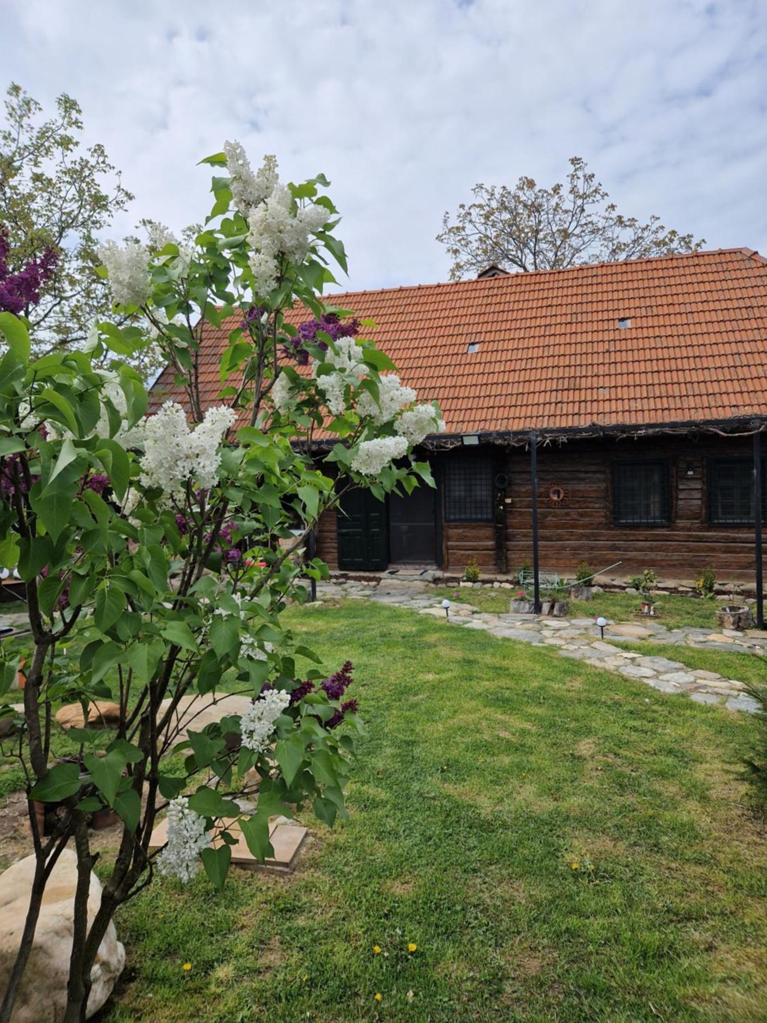Вілла Casa Hariton Dragus Екстер'єр фото